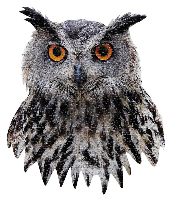 I AM Owl (550 pc)
