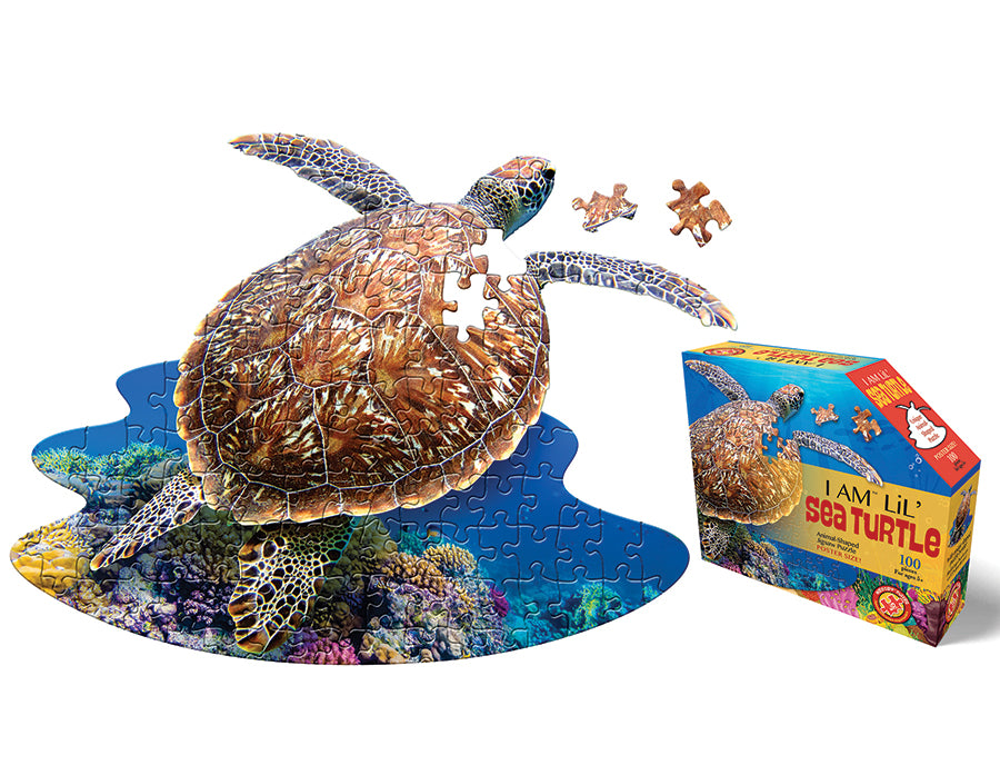 I AM Lil' Sea Turtle (100 pc)