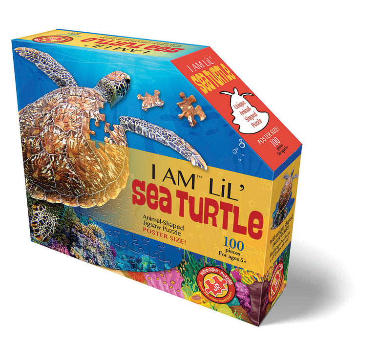 I AM Lil' Sea Turtle (100 pc)