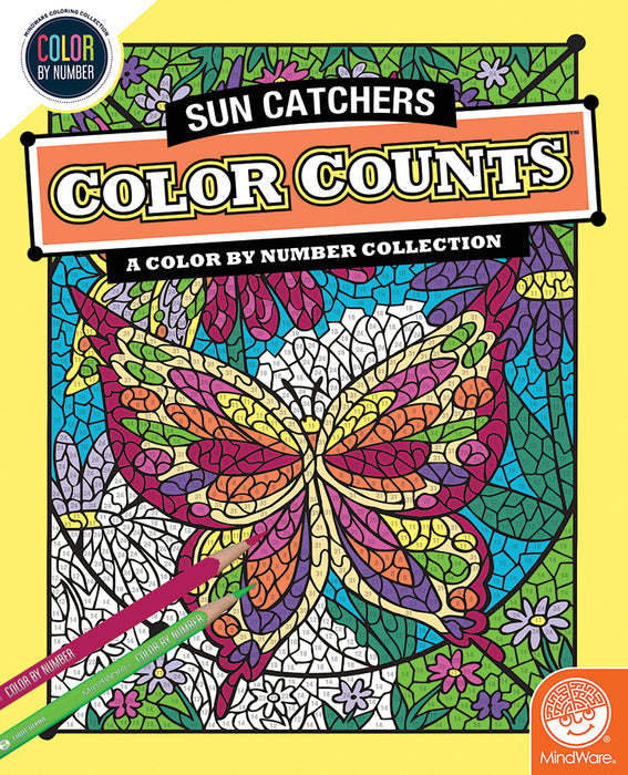 CBN Color Counts: Sun Catchers