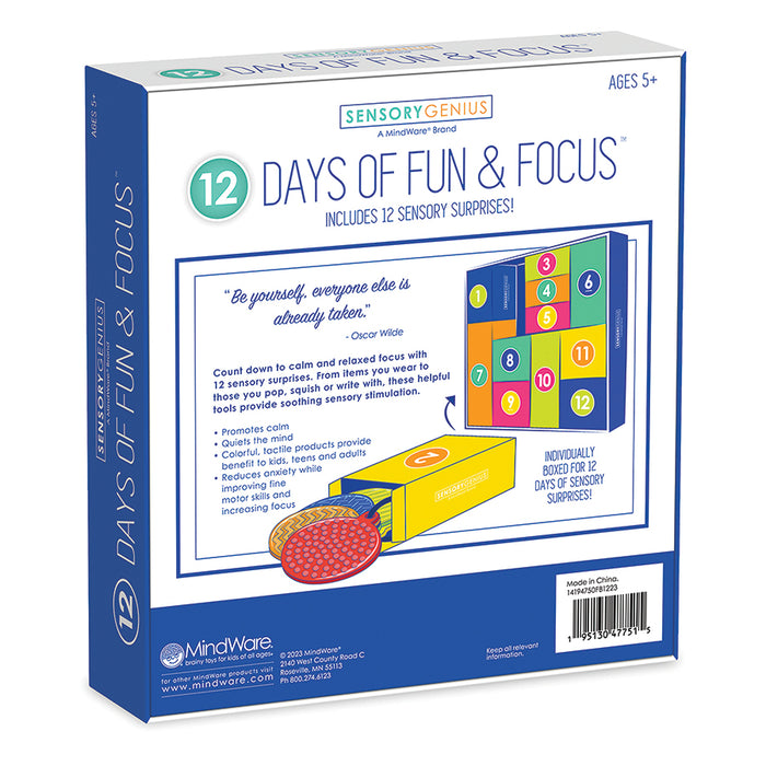 12 Days of Fun and Focus (Sensory Genius)