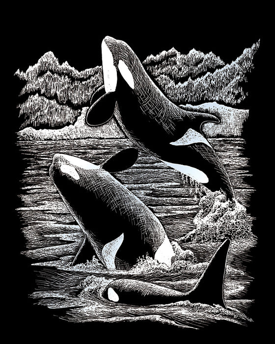 EGRVart Orca Whales