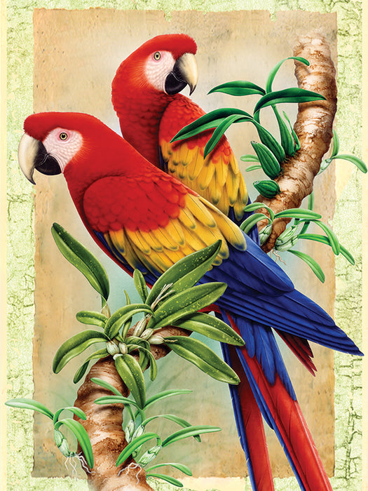 PBN Bamboo Parrots
