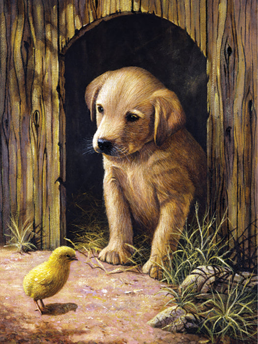 PBN Labrador Puppy