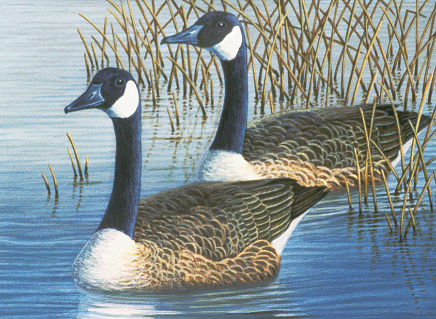 Large PBN Geese | Must order in multiples of 4* per SKU — Outset Media
