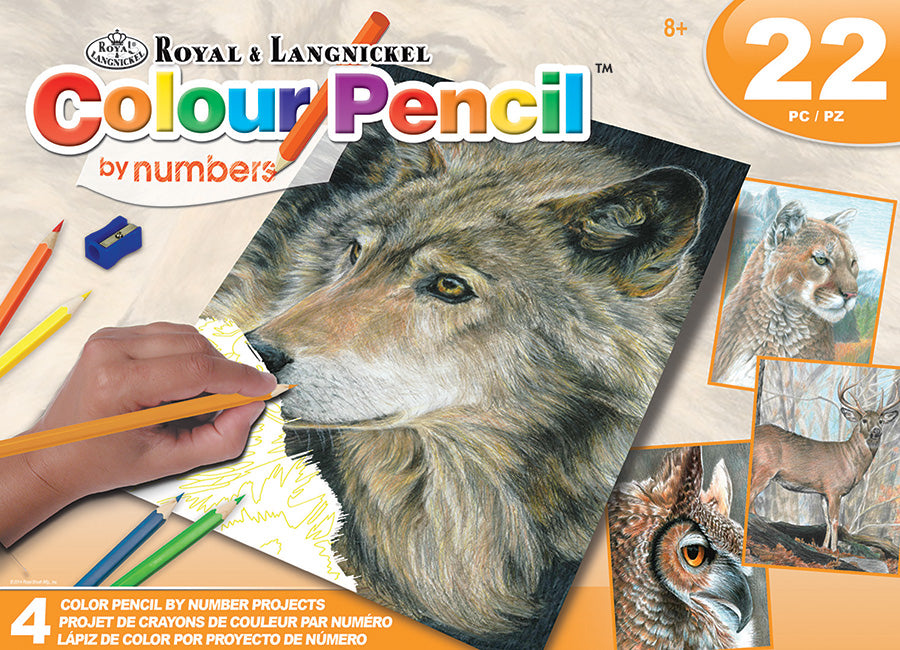 Coffret de crayons de couleur – Faune américaine