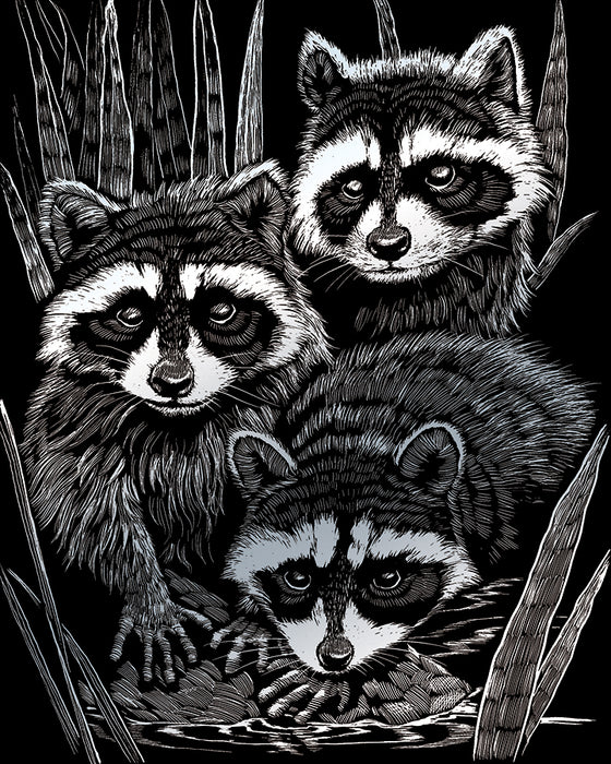 EGRVart Raccoons (multiples of 3*)