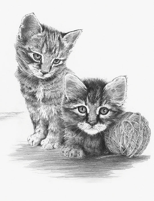 SKBN Kittens with Ball of Yarn (multiples of 3*)