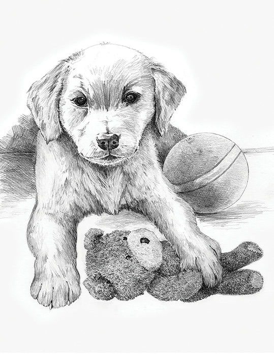 SKBN Puppy with Teddy Bear (multiples of 3*)