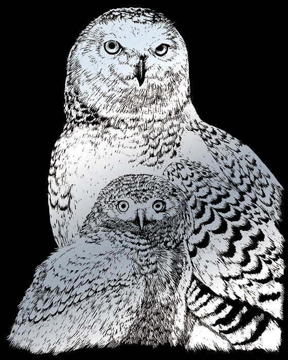 EGRVart Snowy Owls (multiples of 3*)