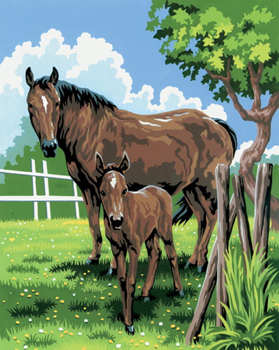 PBN Mare and Foal